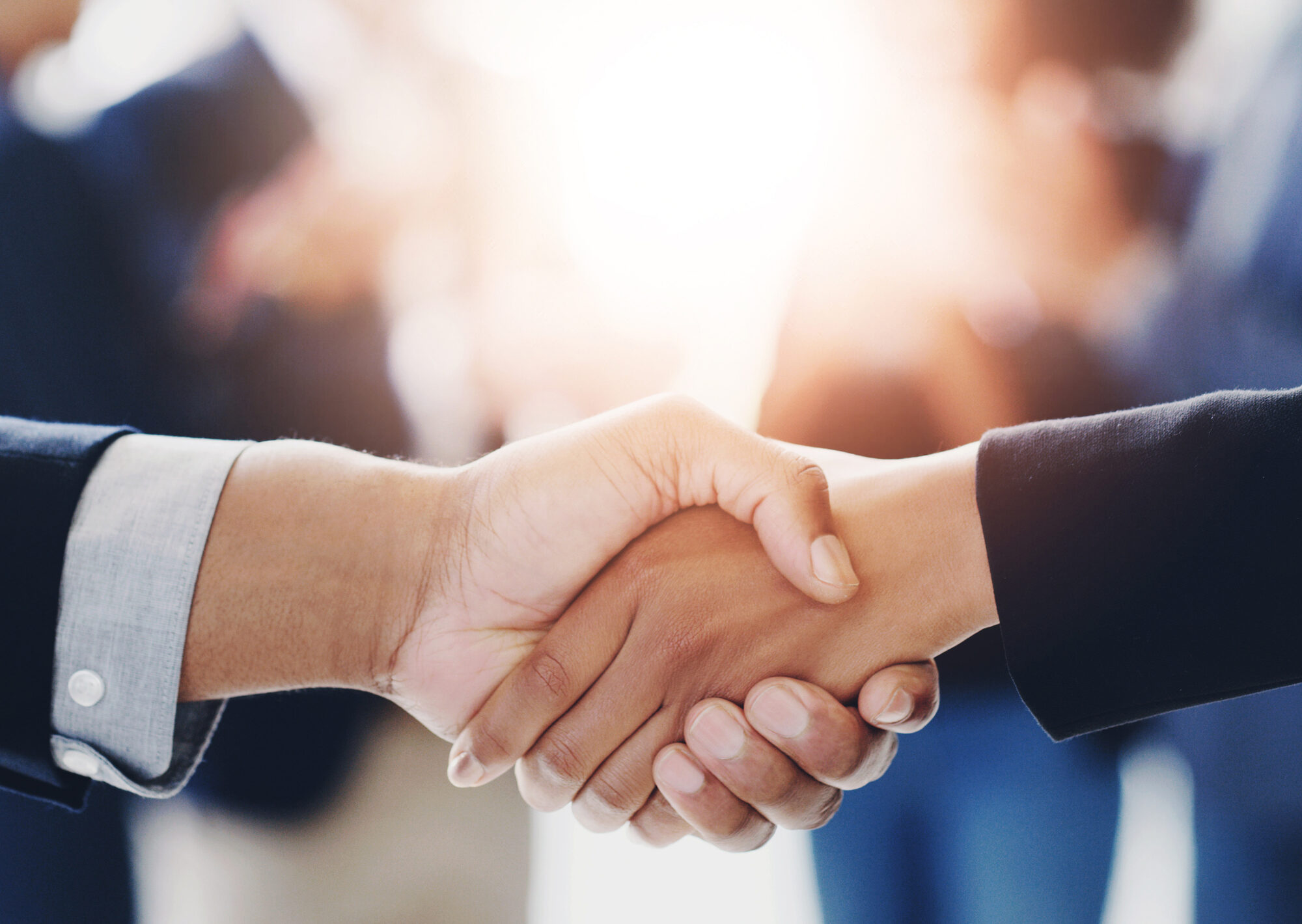 A handshake between partners
